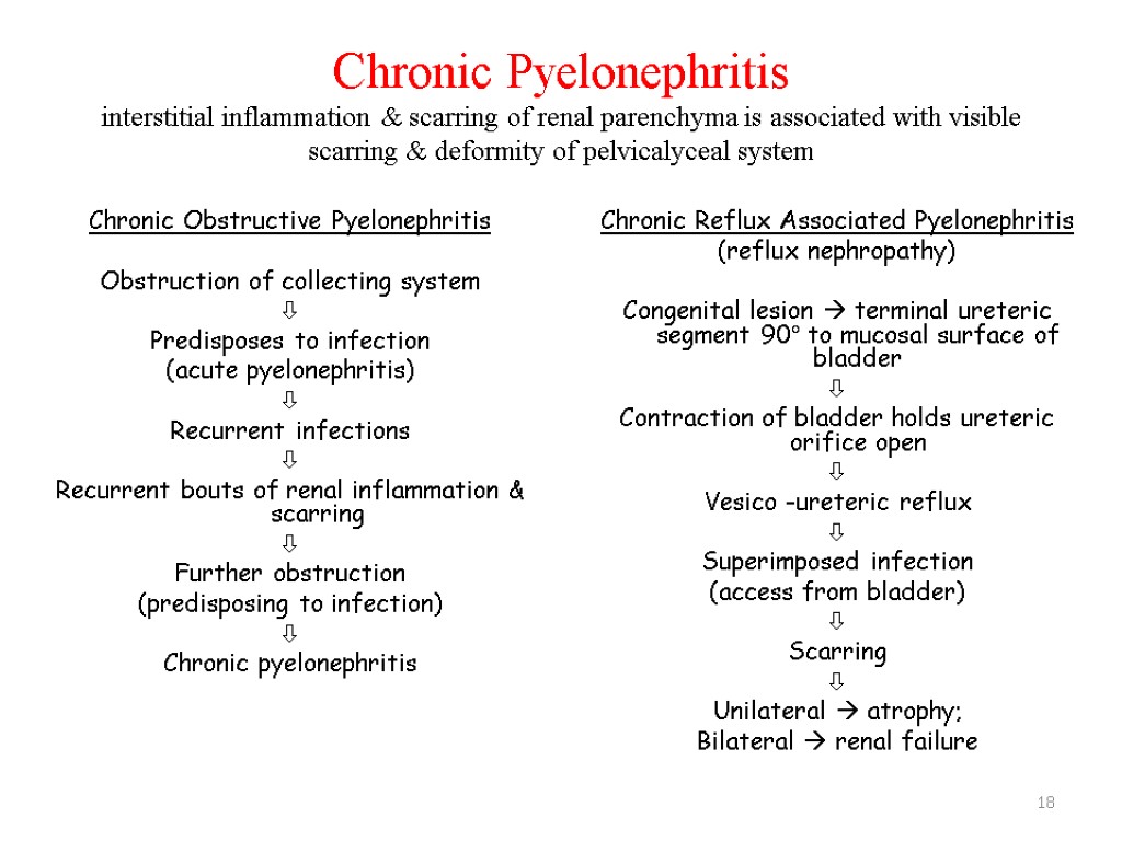 18 Chronic Pyelonephritis interstitial inflammation & scarring of renal parenchyma is associated with visible